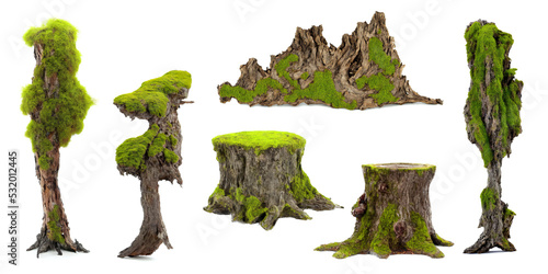 overgrown tree stumps, collection of old stubs with moss and lichen, isolated on white background photo