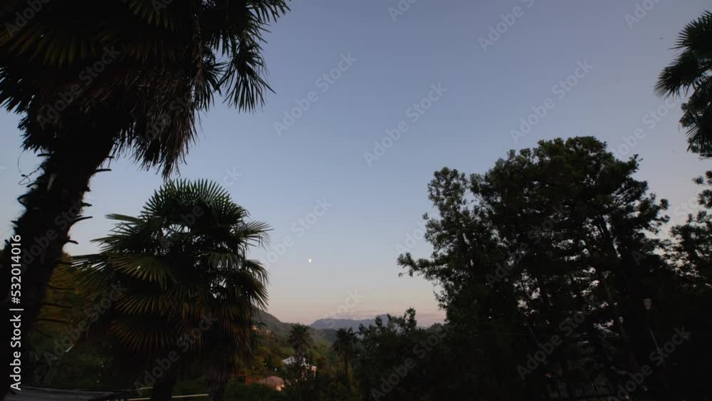 Sunset on the sea through the palm trees in the mountain village of Georgia. The rising moon is visible. Sunset on the sea through the palm trees in the mountain village of Georgia. The rising moon is visible.
