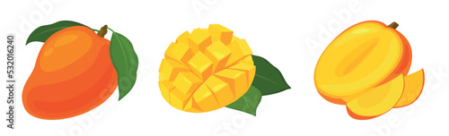 Set of fresh yellow mango in cartoon style. Vector illustration of fruits whole and cut, large and small sizes with leaves on white background.