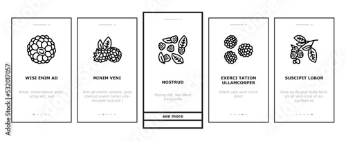 blackberry fruit berry black food onboarding mobile vector. black summer ripe plant, summer dessert, organic fresh berries wild blackberry fruit berry black food color line illustrations