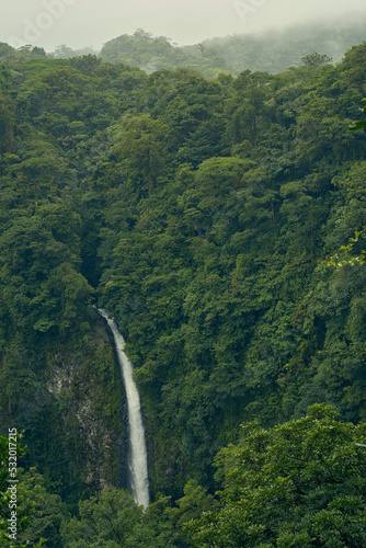 Waterfall in a cloudy forest