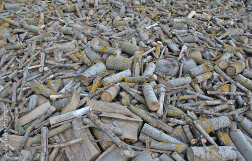 Pile of firewood cut into small logs. Fast-growing hybrid poplar in the drying phase for use in a wood stove.