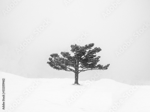 nature