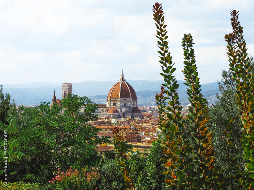 Obraz premium florence