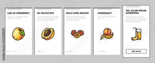 peach fruit nectarine juicy onboarding mobile vector. orange leaf, slice fresh food, yellow sweet summer, red cut ripe, organic nature peach fruit nectarine juicy color line illustrations