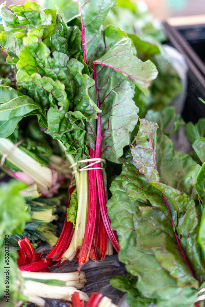 Multiple stalks of swiss chard are cut and stacked on a cutting board