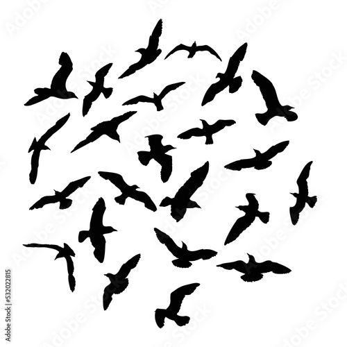 Silhouette set of flying seagulls birds on white background. Inspirational body flash tattoo ink of sea birds. Vector. © desertsands