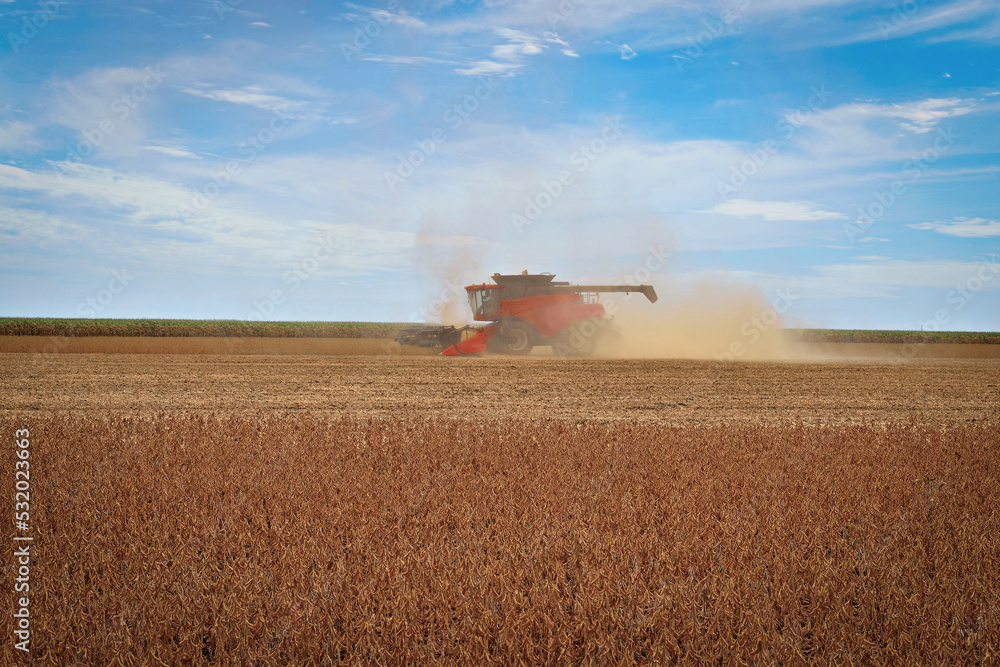 Naklejka premium Colheitadeira trabalhando em campo de soja