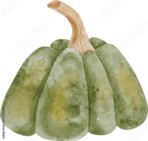 Pumpkin harvest Watercolor clipart, png element