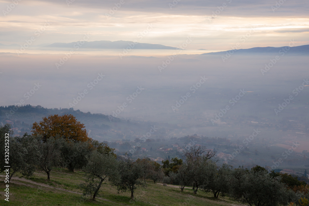 Mist and fog between layers of mountains and hills at dawn in Umbria, Italy, with olive trees in the foreground