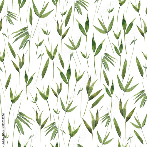 Fototapeta Naklejka Na Ścianę i Meble -  Bamboo leaves and twigs on a white background. Watercolor illustration. Seamless pattern. For fabric, textiles, wallpaper, covers, prints, packaging, paper, scrapbooking clothing bed linen