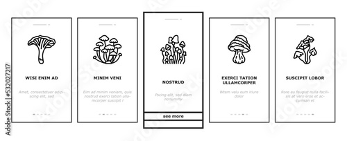 mushroom food forest fungi onboarding mobile vector. fungus champignon, nature fresh, plant autumn porcini, organic psychedelic vegetable mushroom food forest fungi color line illustrations