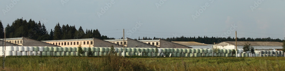 Modern silo storage and hay bales on field edge . Agricultural business technology