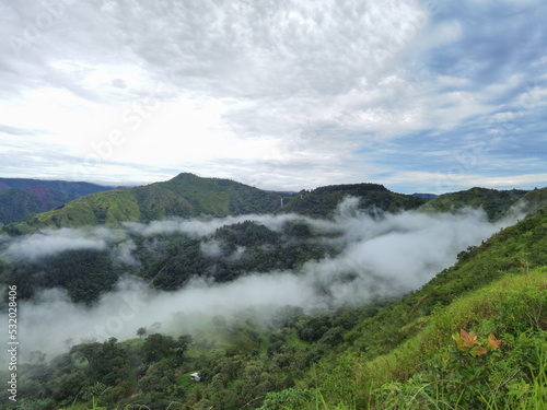 Paisajes de la reserva forestal la yeguada 