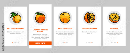 orange citrus fresh slice juice onboarding mobile vector. sweet food, leaf juicy, organic half, green, cut vitamin, healthy tropical, ripe orange citrus fresh slice juice color line illustrations