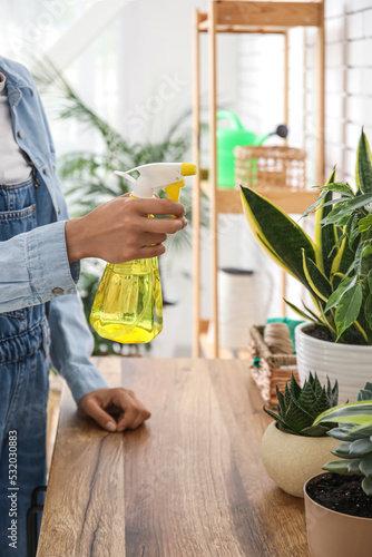 Woman spraying water onto houseplants on table at home