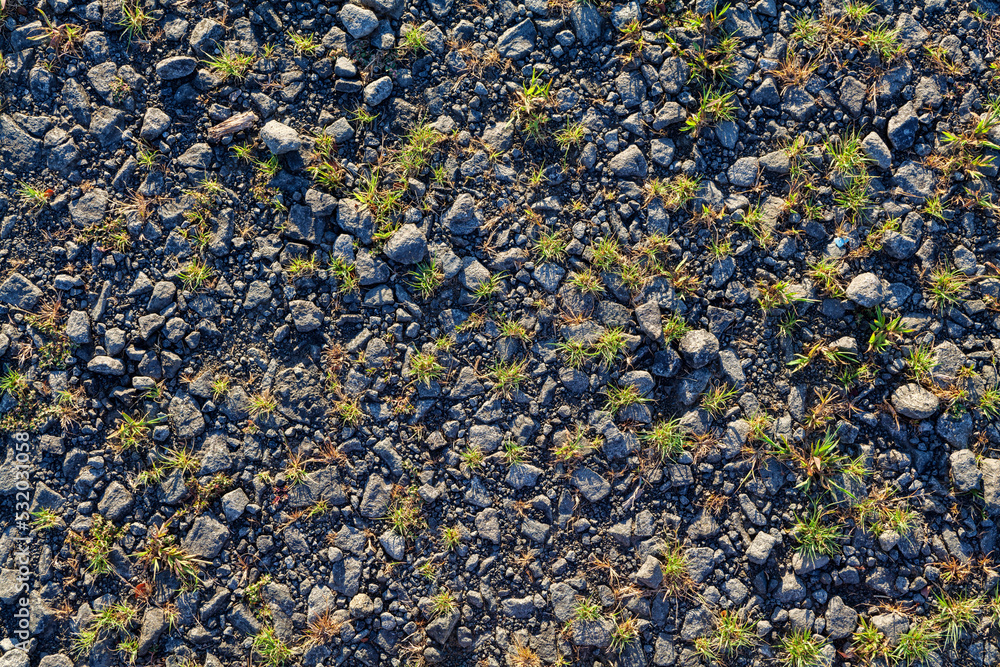 Old crumbled asphalt pattern, grass breaks through the asphalt. High-quality photo Old crumbled asphalt pattern, grass breaks through the asphalt. High-quality photo