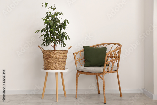 Basket with houseplant on table and armchair near light wall