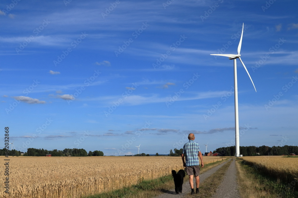 Wind turbine. Green energy. Senior man walking the dog. One summer day outside. Blue sky and small clouds. Road, fields and meadows. Near Skara, Sweden, Scandinavia, Europe. Wind turbine. Green energy. Senior man walking the dog. One summer day outside. Blue sky and small clouds. Road, fields and meadows. Near Skara, Sweden, Scandinavia, Europe.