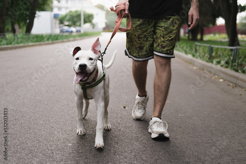 Slika na platnu Walking with a dog on the leash