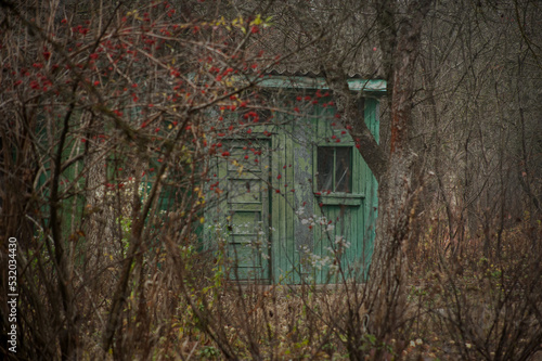 an old wooden house in the thickets of the forest, mysticism and mystery