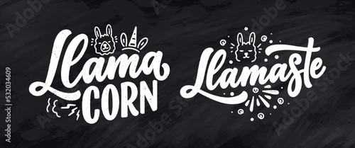 Set with funny hand drawn lettering quotes about llama. Cool phrases for print and poster design. Inspirational kids slogans. Greeting card template. Vector