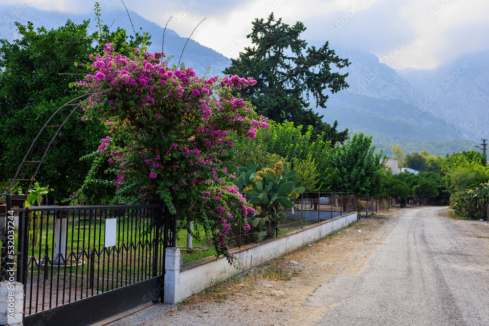 Naklejka premium Flowering Turkish trees. Background with selective focus and copy space