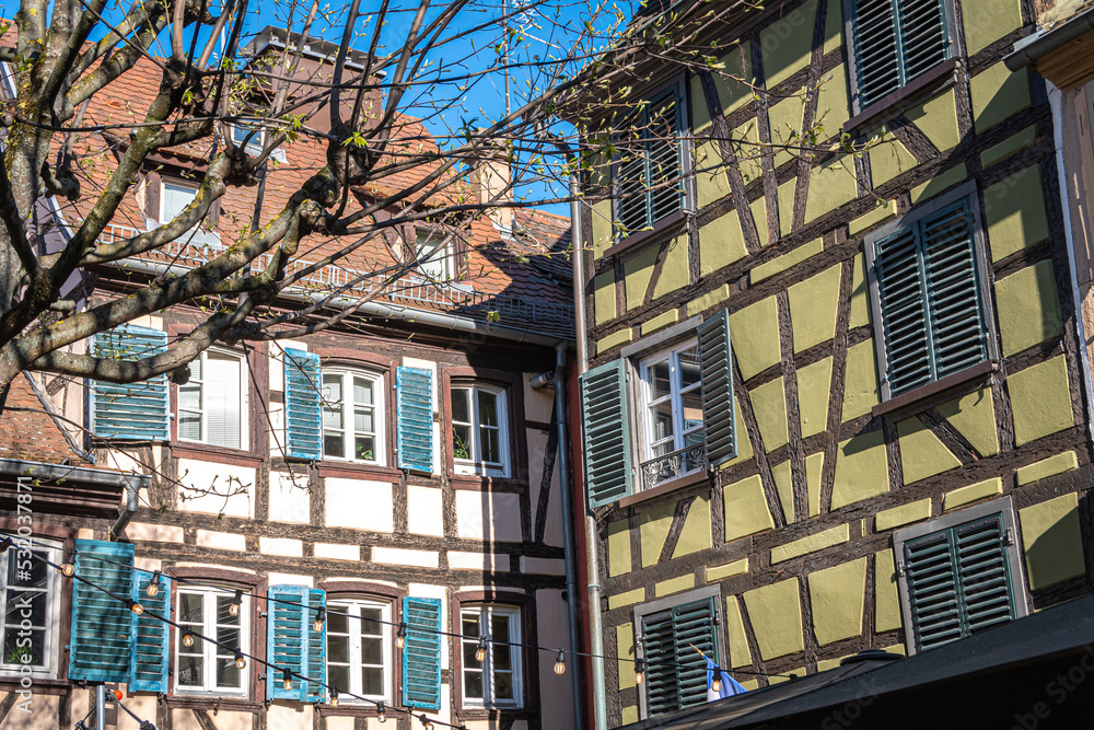 Traditional old alsatian house with a tree in Strasbourg in Alsace in the department of Haut-Rhin of the Grand Est region of France