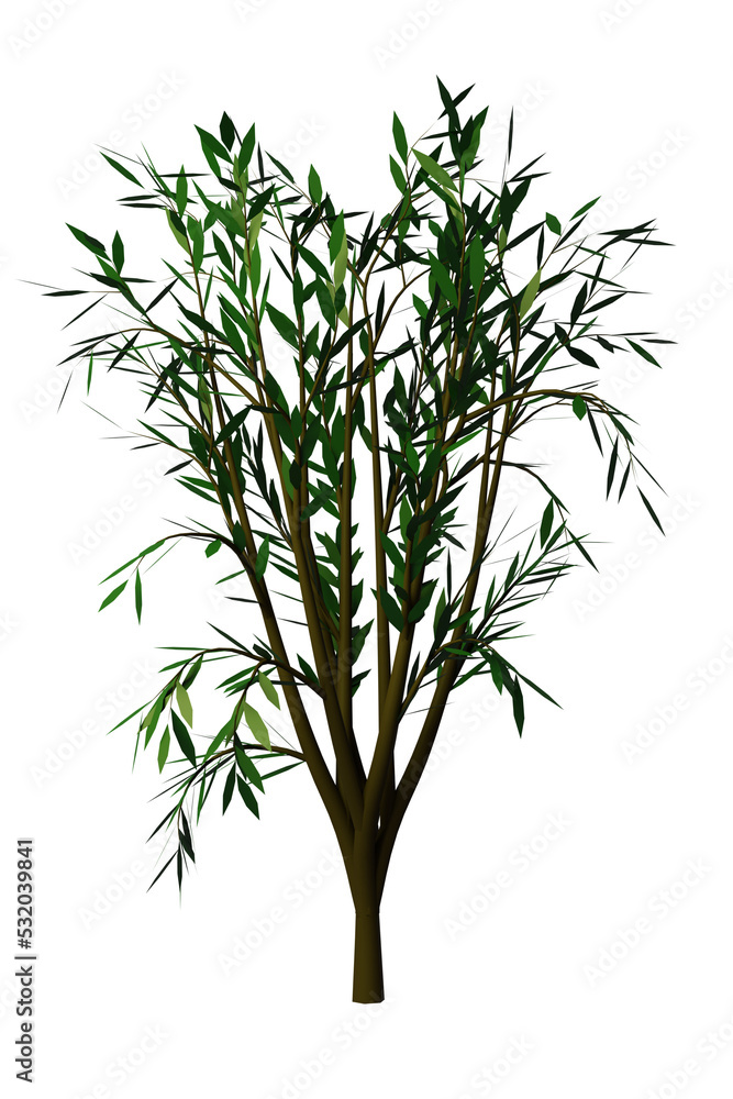 Fototapeta premium Green bush for decoration,