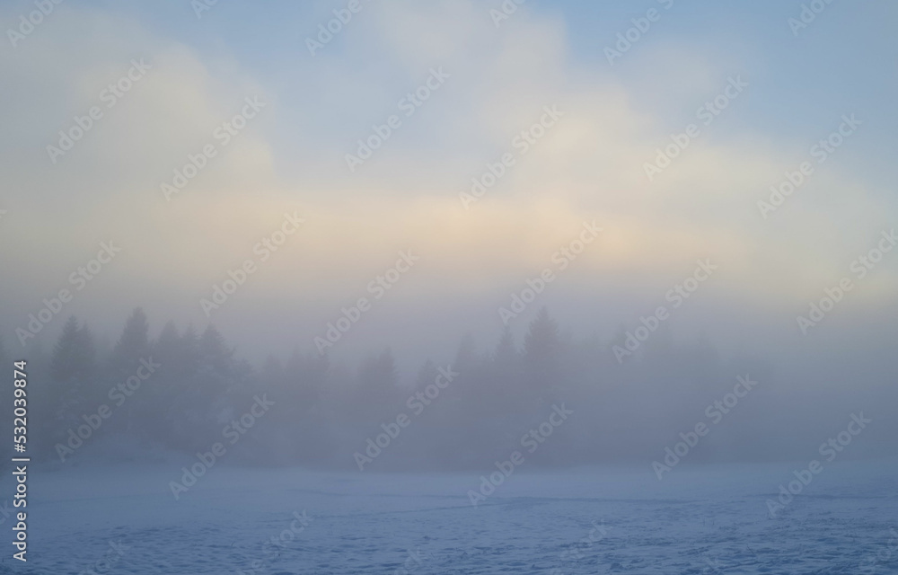 Winter landscape of forest. Foggy weather. Forest in a foggy winter day.
Winter landscape of forest. Foggy weather. Forest in a foggy winter day.