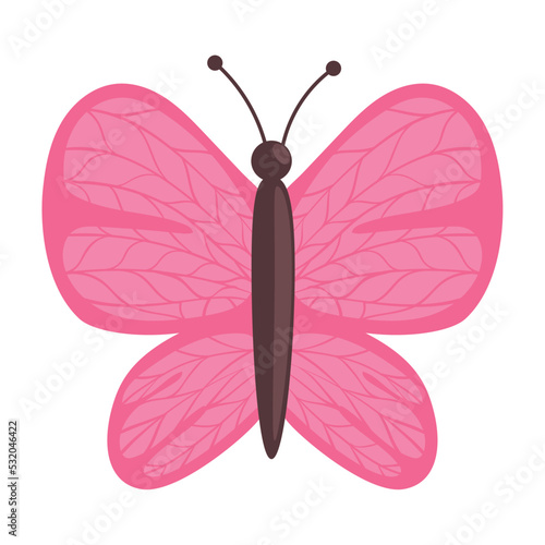 Canvas Print pink butterfly animal