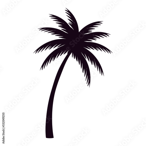 tropical tree palm © Gstudio
