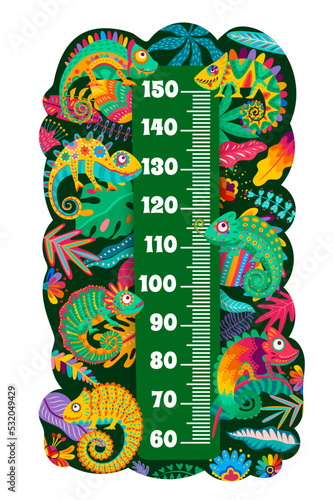 Mexican chameleon lizards on kids height chart. Child growth meter scale with color chameleons, lizard exotic animal, tropical palm plant leaves and flowers ornaments