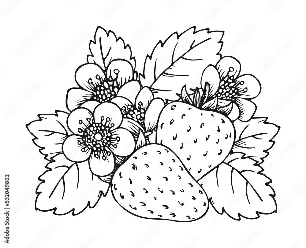 Strawberry Plant Coloring Pages