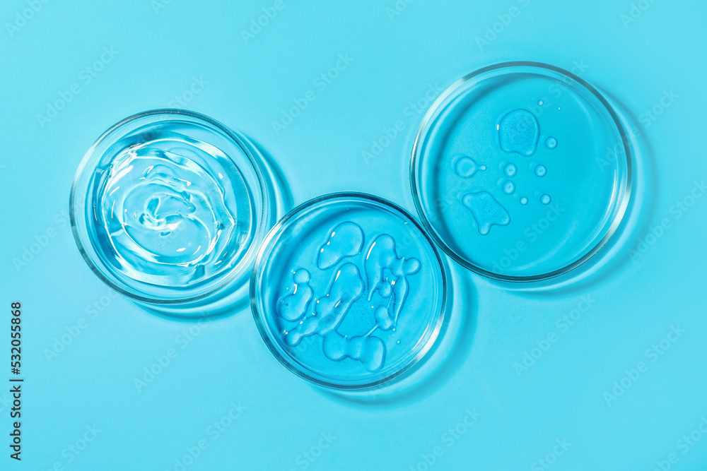 Petri dishes with liquids on light blue background, flat lay - obrazy, fototapety, plakaty 