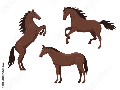 Set of brown horses