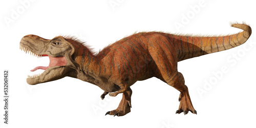 Tyrannosaurus rex, T-rex dinosaur from the Late Cretaceous, isolated © dottedyeti