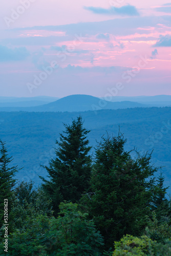Tall spruce conifer trees and evergreen forest in the foreground with a pink and purple sunset sky on the horizon with multiple ridges and hills of distant mountains paint a distant backdrop