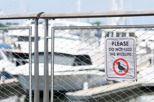 metal sign on temporary chain link fence outside of urban waterfront boating marina reads Please Do Not Feed Wildlife with a icon of the native migratory waterfowl duck with a red strike through it photo