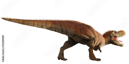 Tyrannosaurus rex, T-rex dinosaur from the Late Cretaceous, isolated    © dottedyeti