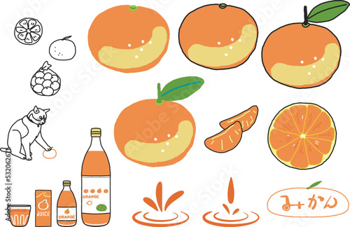 みかん　みかんの加工品　カラー　ライン　セット　イラスト素材
