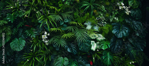 Naklejka Creative nature green background, tropical leaf banner or floral jungle pattern concept. 