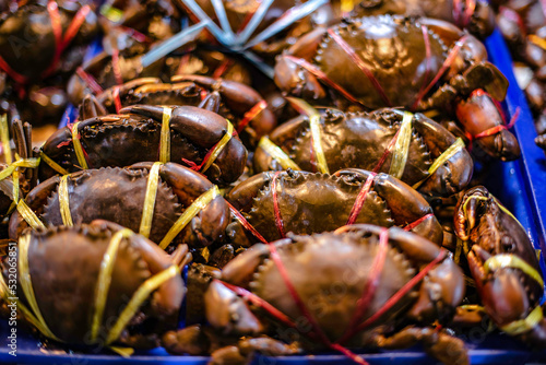 Crabs frozen in ice trays are sold at Baan Na Kluea Fresh Seafood Market, Pattaya, Thailand. 