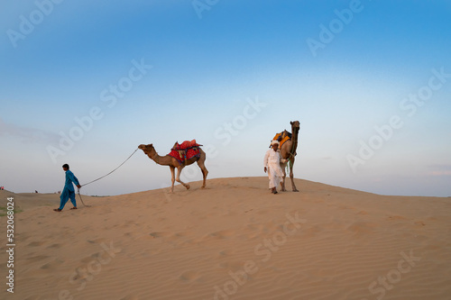Cameleers taking back their camels, Camelus dromedarius after tourist rides at dusk in sand dunes.