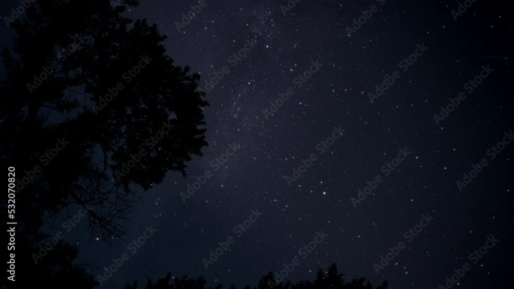 Night timelapse of milky way moving across the sky above the tree silhouette. Hyperlapse, dolly shot. Night timelapse of milky way moving across the sky above the tree silhouette. Hyperlapse, dolly shot.