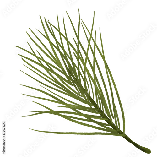 pine needles Christmas tree leaves branch element  PNG Clipart Illustration