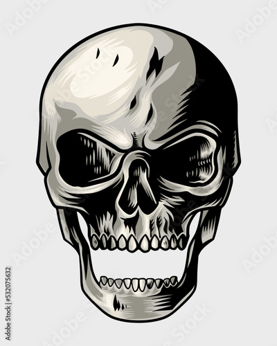 human skull