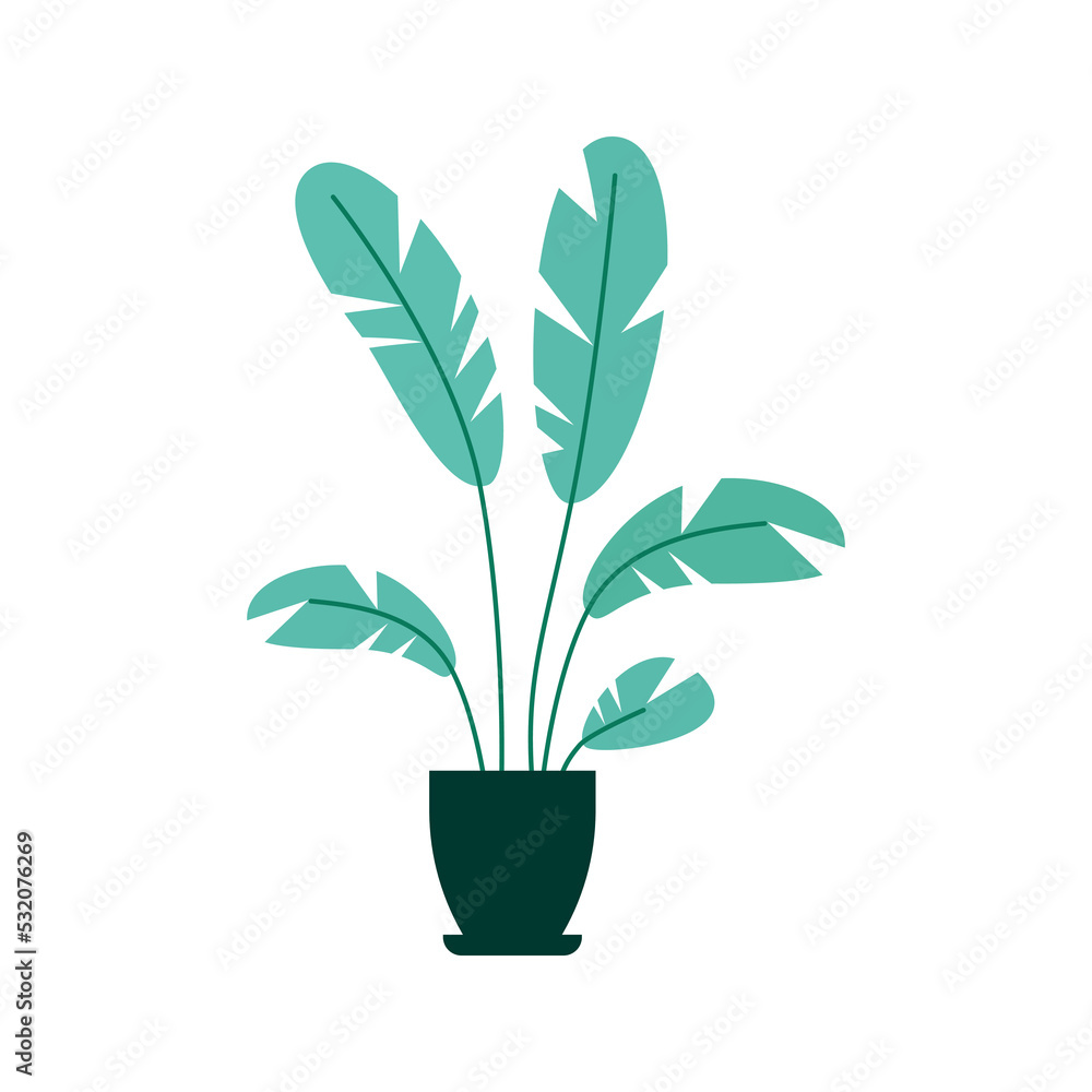 Hand drew Home decoration plant vector illustration Hand drew Home decoration plant vector illustration