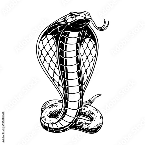 vector illustration Cobra stands tall against a centrimetric background black and white design