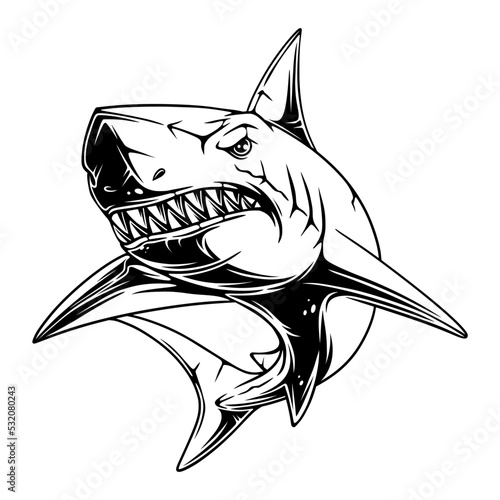 vector illustration Shark with cool and spooky position with sharp teeth black and white design